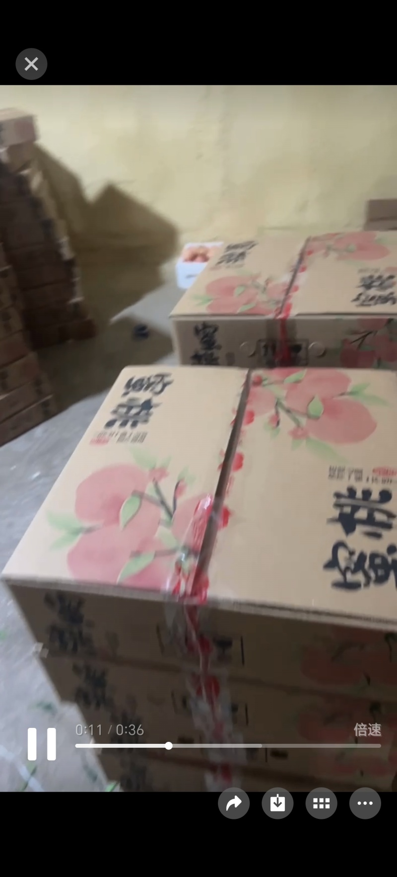 春雪水蜜桃脆甜一件代发货量大优惠顺丰包邮
