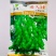 交大14鲜食毛豆种子口感甜糯大荚绿宝石大粒高产抗病商品性