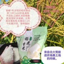稻花香，北大荒农垦种植稻花香大米。一吨起批，支持一件代发