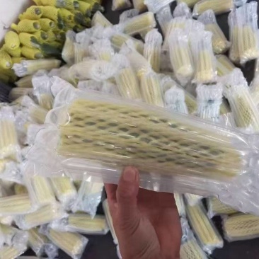 羊角蜜甜瓜一件代发，对接各类电商平台，货源充足，日接万单