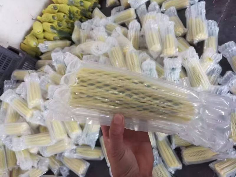 羊角蜜甜瓜一件代发，对接各类电商平台，货源充足，日接万单