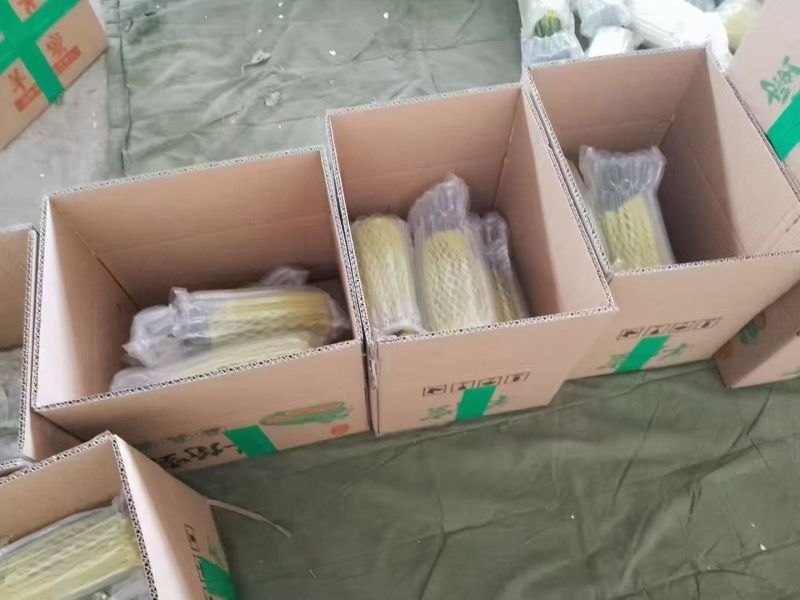 羊角蜜甜瓜一件代发，对接各类电商平台，货源充足，日接万单