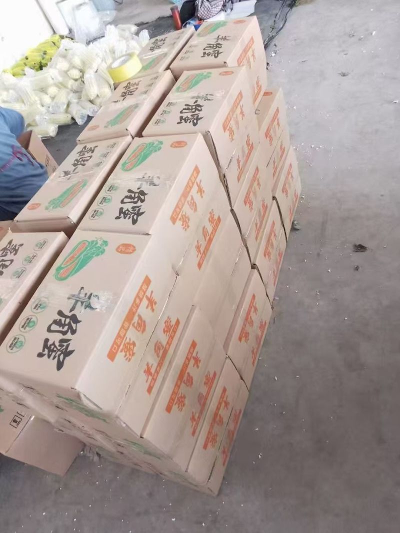 羊角蜜甜瓜一件代发，对接各类电商平台，货源充足，日接万单