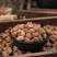 益智仁中药材海南野生益智仁米正品益智杜仲泡茶泡酒食用香料