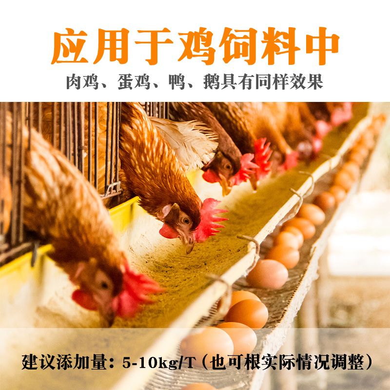 菊花粕万寿菊粉叶黄素0.5%家禽饲料