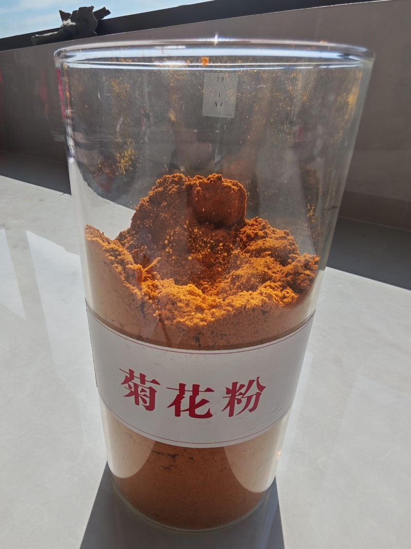 菊花粕万寿菊粉叶黄素0.5%家禽饲料