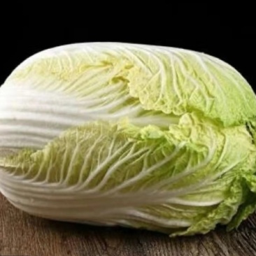 现摘大白菜
