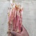 鱼腥草