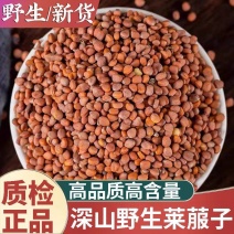 莱菔子中药材炒熟生的新货莱菔子茶萝卜籽煮茶煮水批发零售