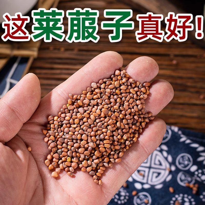 莱菔子中药材炒熟生的新货莱菔子茶萝卜籽煮茶煮水批发零售