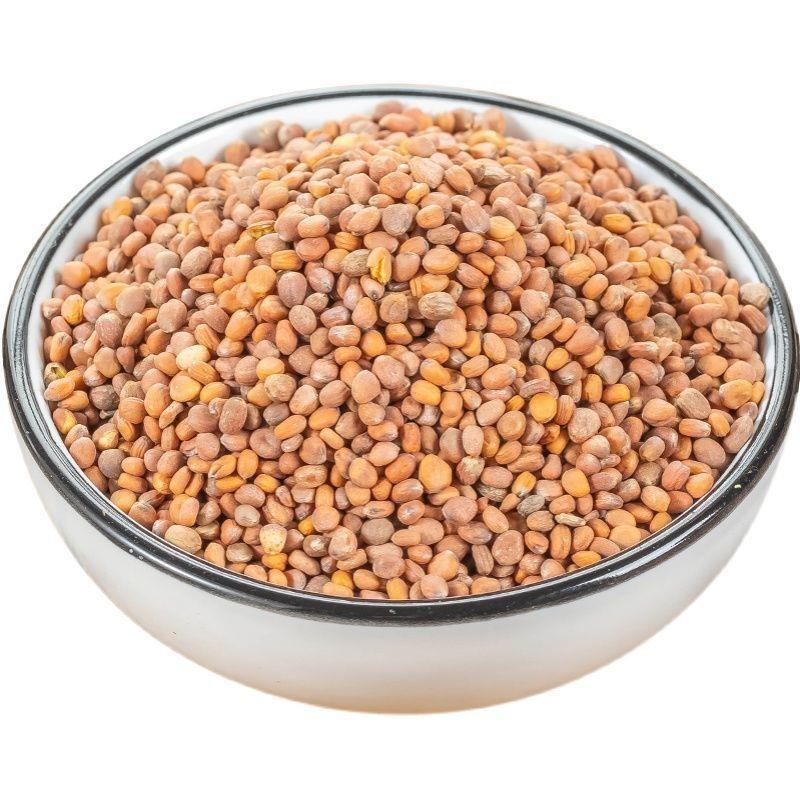 莱菔子中药材炒熟生的新货莱菔子茶萝卜籽煮茶煮水批发零售