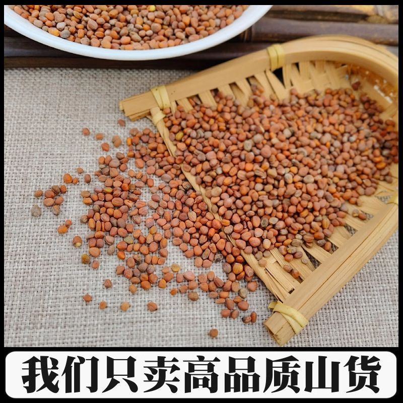 莱菔子中药材炒熟生的新货莱菔子茶萝卜籽煮茶煮水批发零售