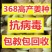 姜种批发【368高产王】基地对接、全程技术跟踪指导