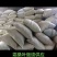 霜桑叶大量供应