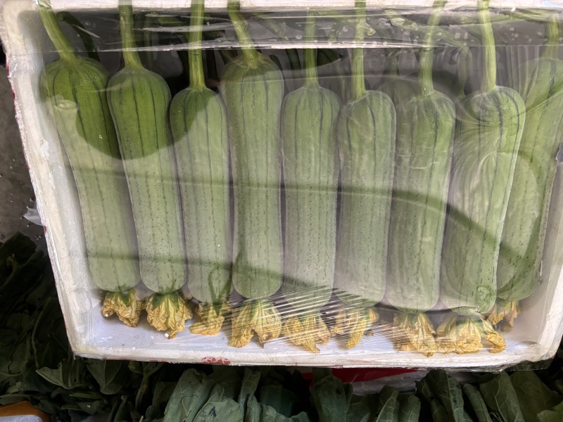 肉丝瓜、皮薄肉厚、清甜、无纤维、早熟、高产、基地直供
