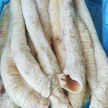 牛气管货源充足，欢迎咨询，价格美丽，来电优
