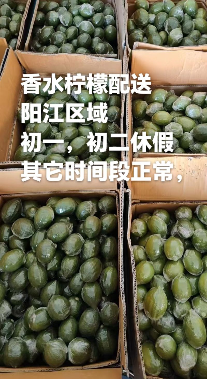 广东无籽香水柠檬