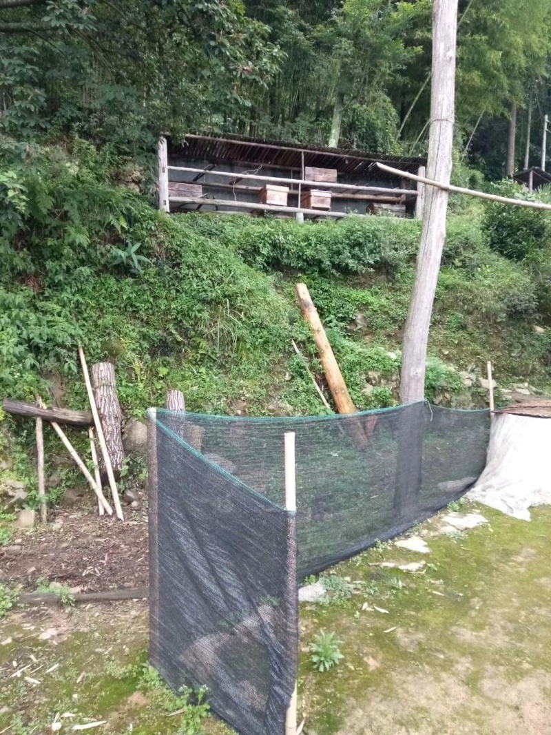 石洞蜂蜜