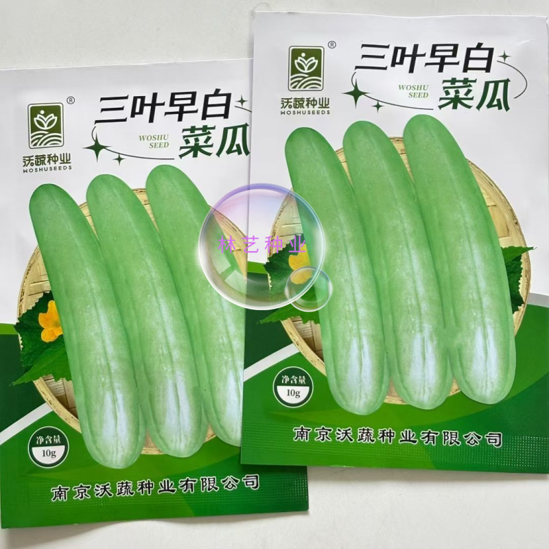 三叶早白菜瓜种子高产白皮瓜菜瓜种农家春夏秋播蔬菜种子清脆