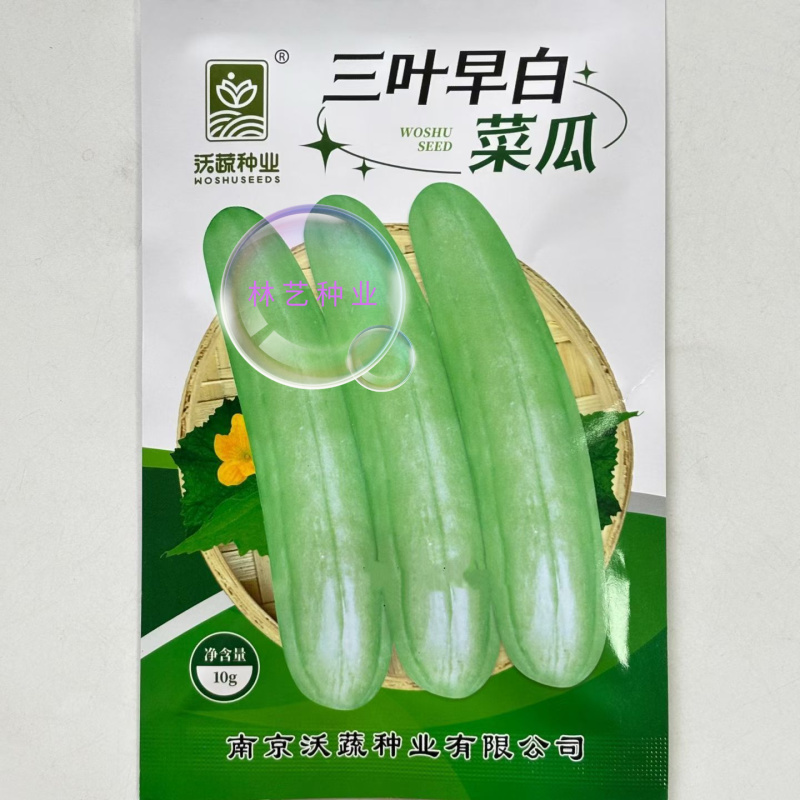三叶早白菜瓜种子高产白皮瓜菜瓜种农家春夏秋播蔬菜种子清脆