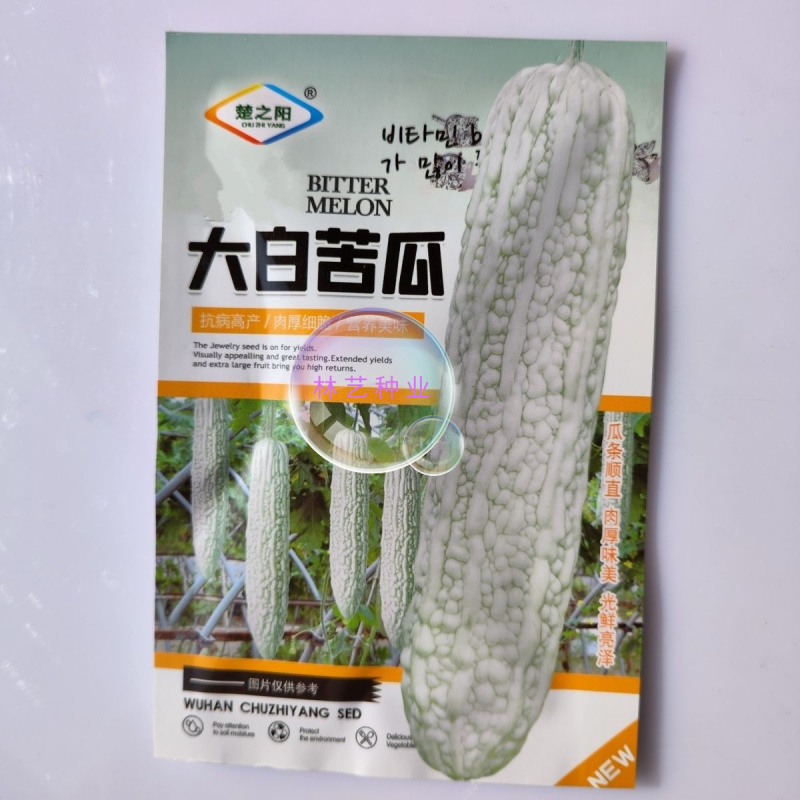 大白苦瓜种子长白苦瓜种籽高产春季播阳台白玉苦瓜白苦瓜