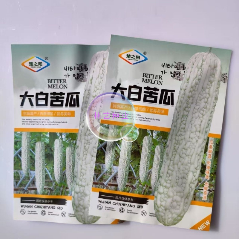 大白苦瓜种子长白苦瓜种籽高产春季播阳台白玉苦瓜白苦瓜