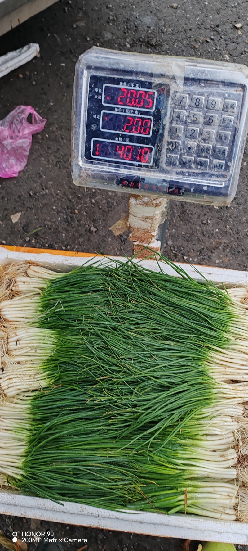 烧烤专用细葱