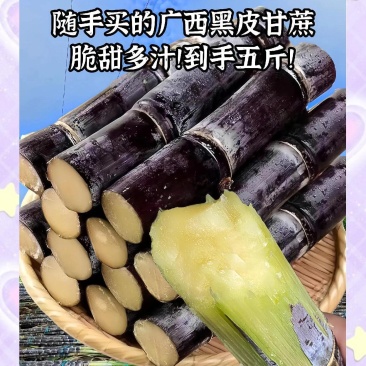 【广西黑皮甘蔗】新鲜现砍黑皮甘蔗脆甜多汁新鲜应季水果5斤