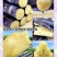 【广西黑皮甘蔗】新鲜现砍黑皮甘蔗脆甜多汁新鲜应季水果5斤