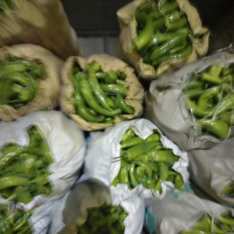 辣椒黄皮辣椒精品，食堂，电商，赶集货大量供应