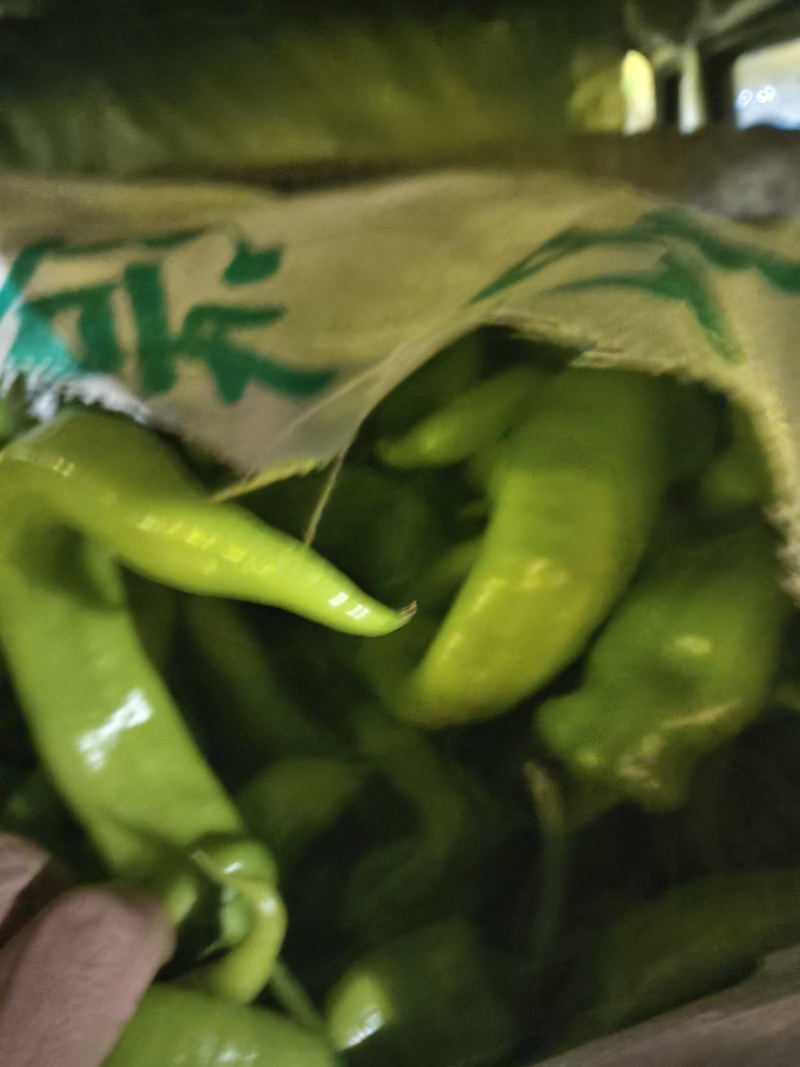 辣椒黄皮辣椒精品，食堂，电商，赶集货大量供应