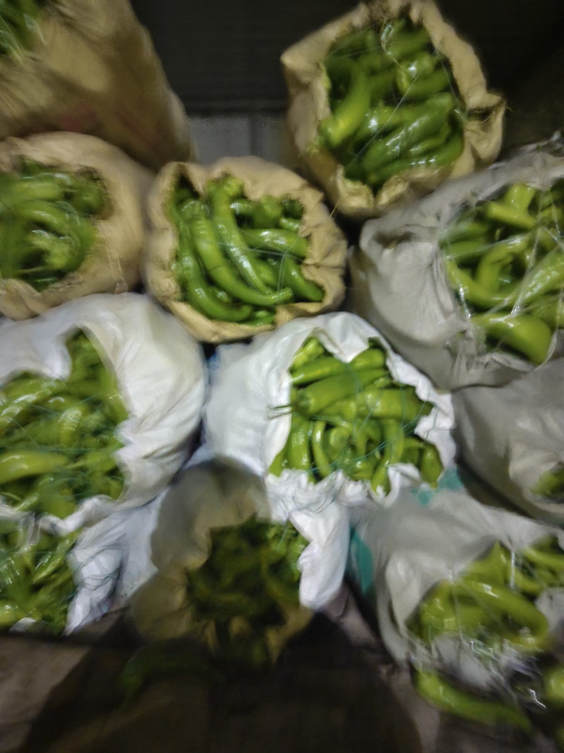 超市，电商，食堂，赶集货，大量供应