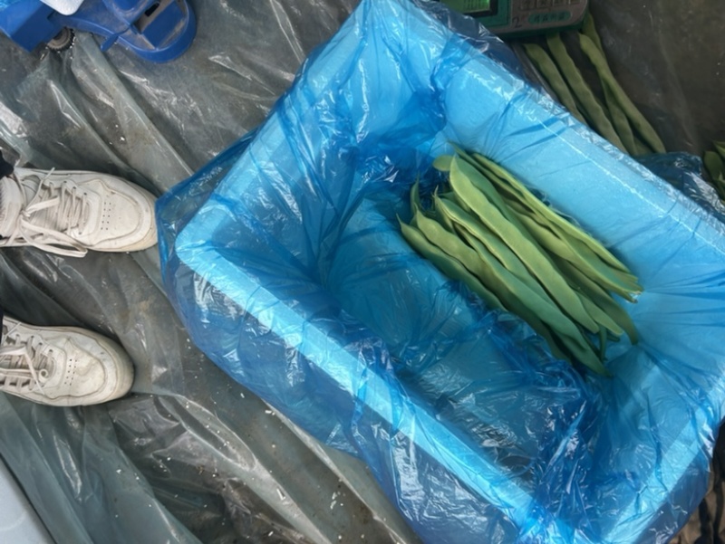 扁豆大量有货。