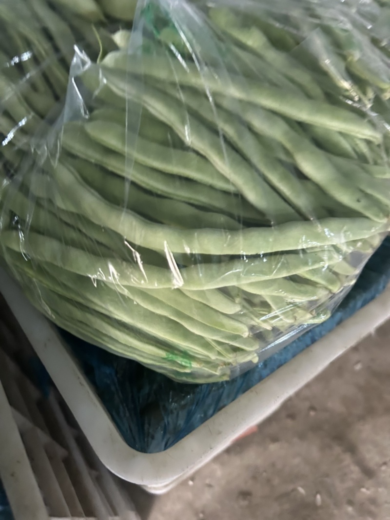 扁豆大量有货。