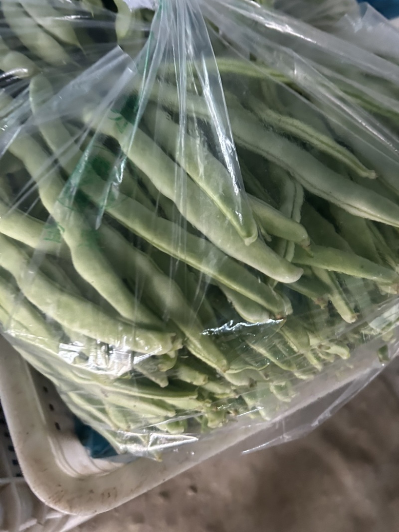 扁豆大量有货。