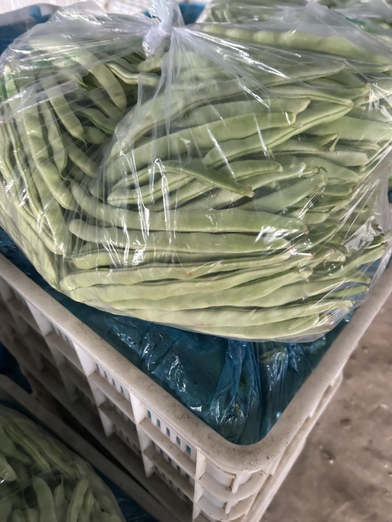 扁豆大量有货。