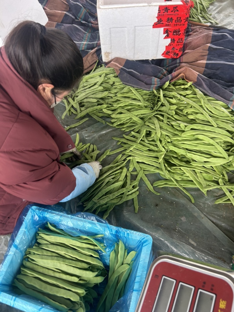 扁豆大量有货。