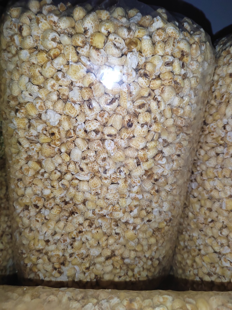 膨化食品