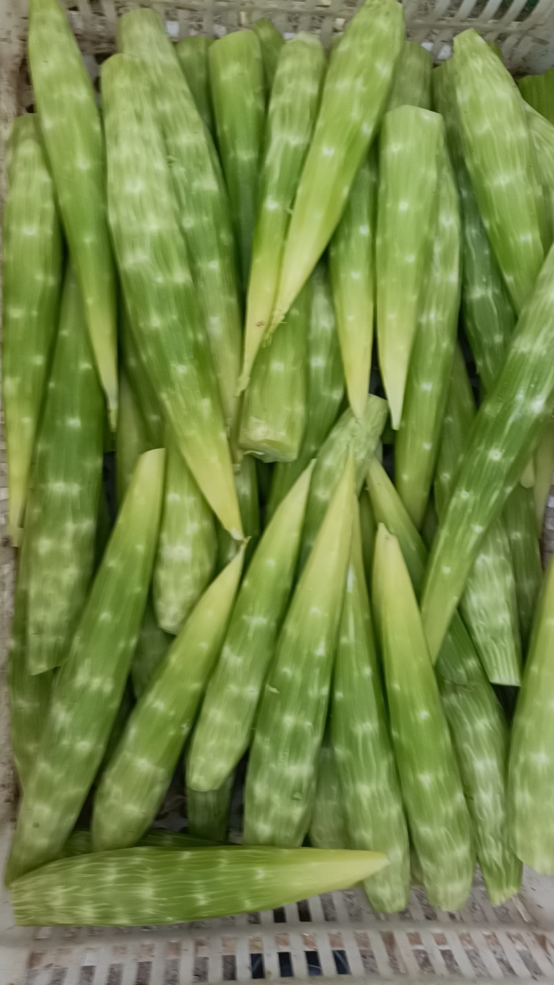 精品莴苣肉