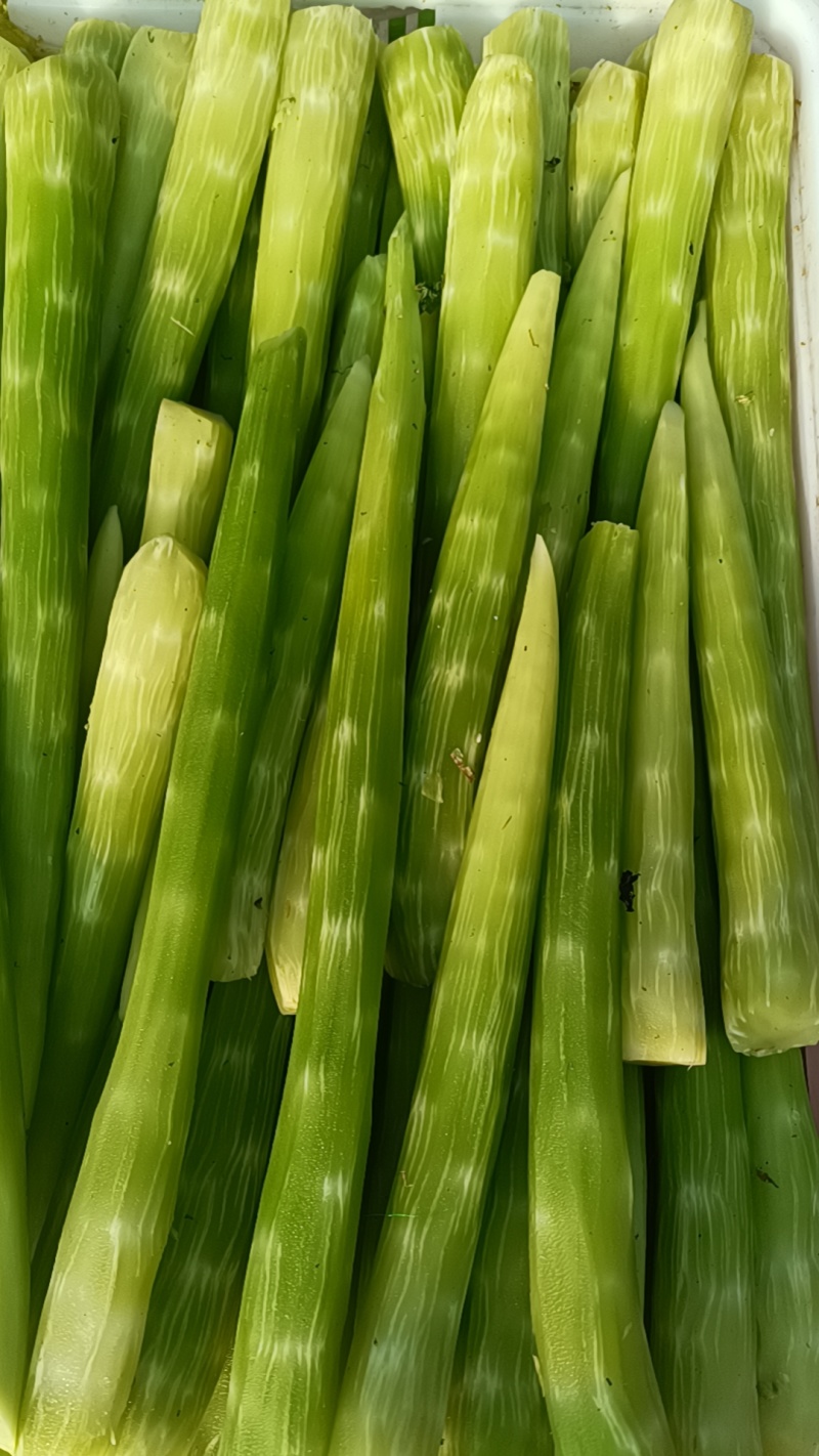 精品莴苣肉