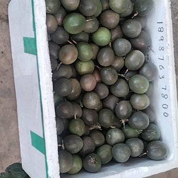 百香果