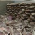 整支猪后腿