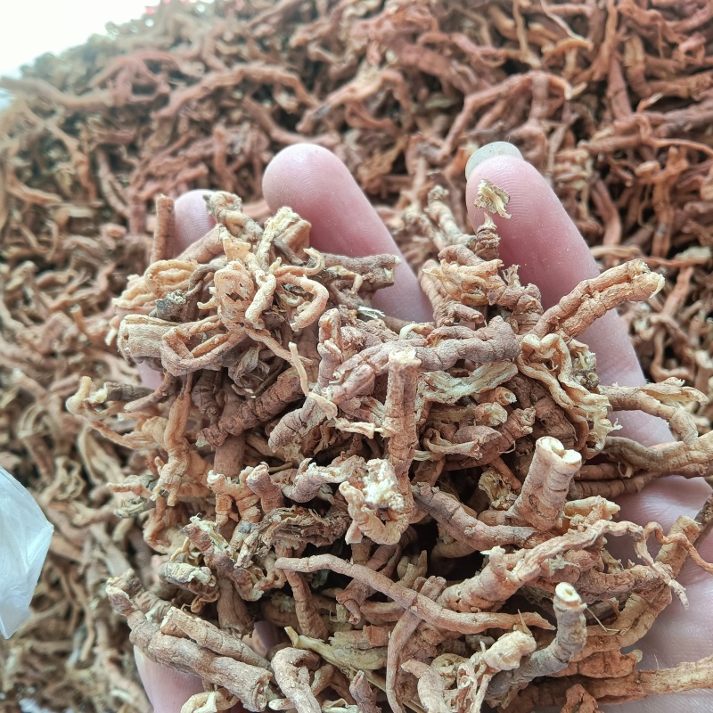 野生远志肉！抽芯率95%以上