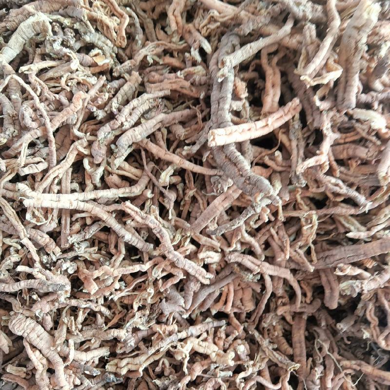 野生远志肉！抽芯率95%以上