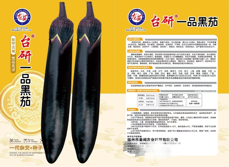 台研一品黑茄种子早熟口感绵软适应性好南北方均可种植