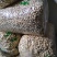 无油，无糖，有糖，膨化食品，10斤
