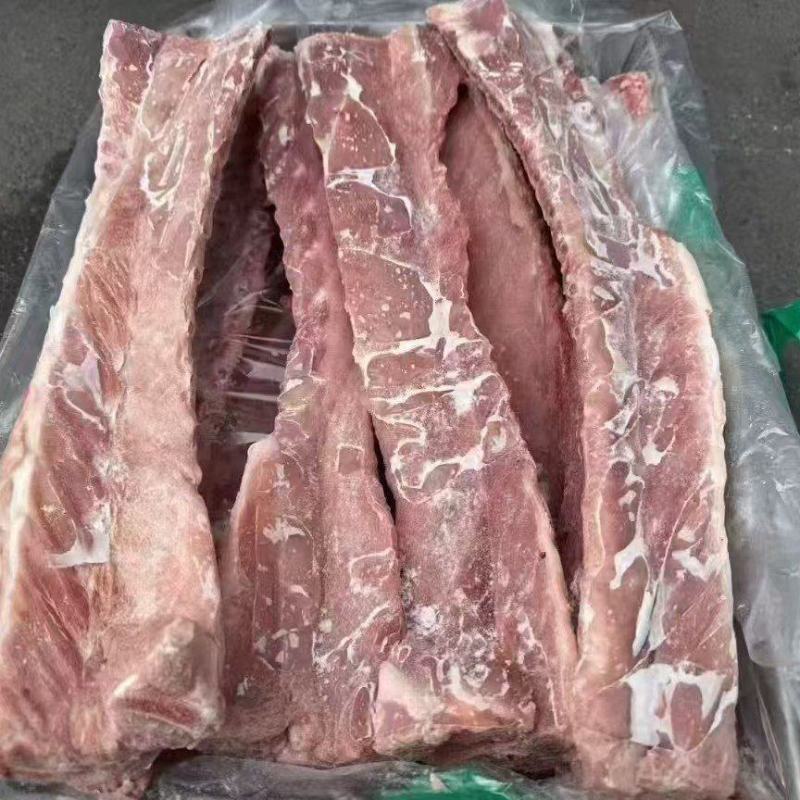 肥猪龙骨