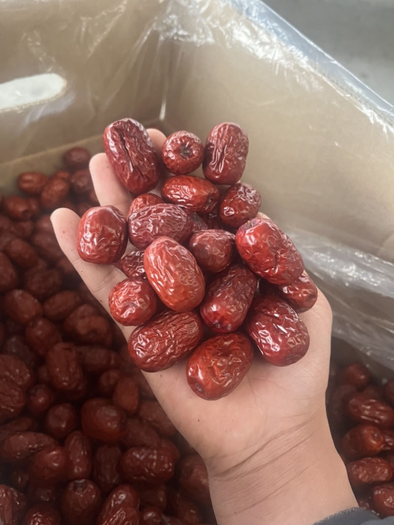 新疆灰枣特级，厂家直销！各种规格级别齐全