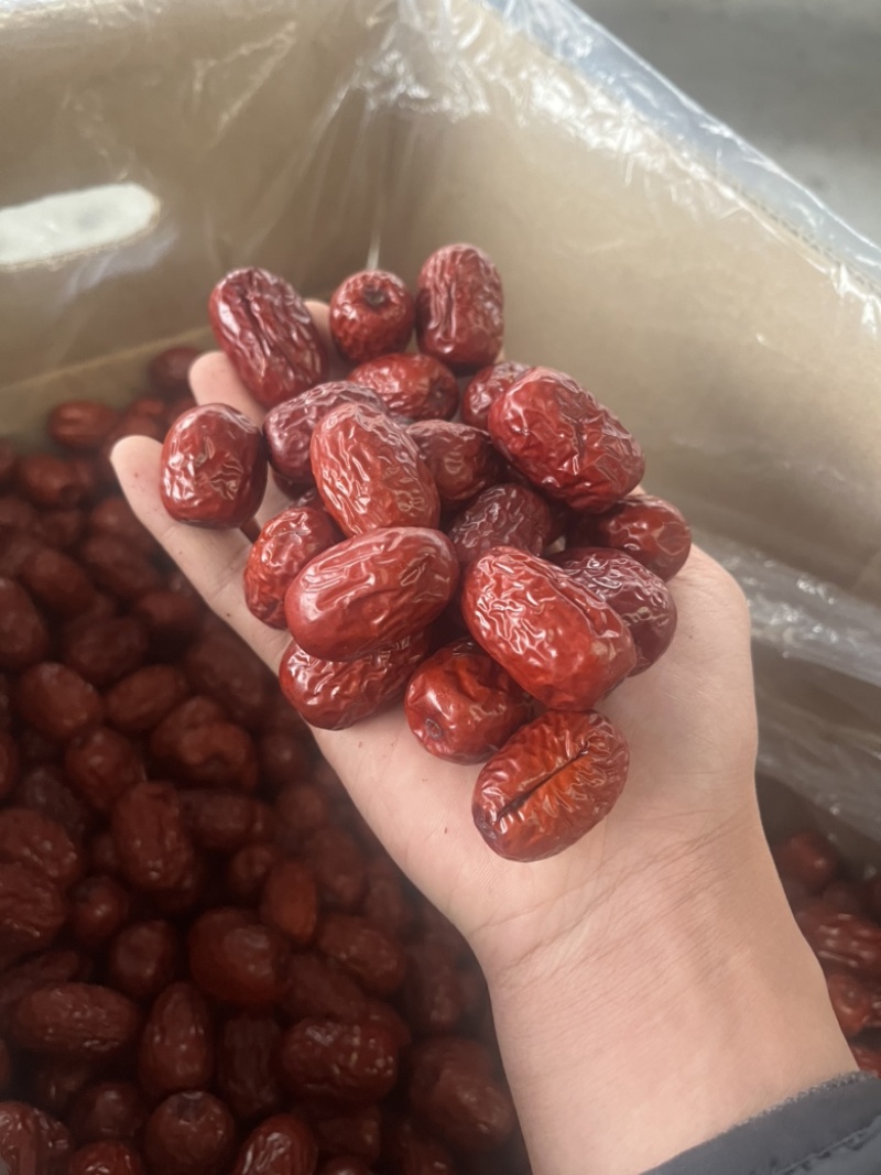 新疆灰枣特级，厂家直销！各种规格级别齐全