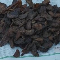 油性肉苁蓉切片泡水泡酒炖肉散装/礼盒支持一件代发